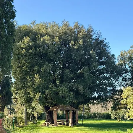 Orsini - Storica Ad Uso Esclusivo Con Piscina Villa *